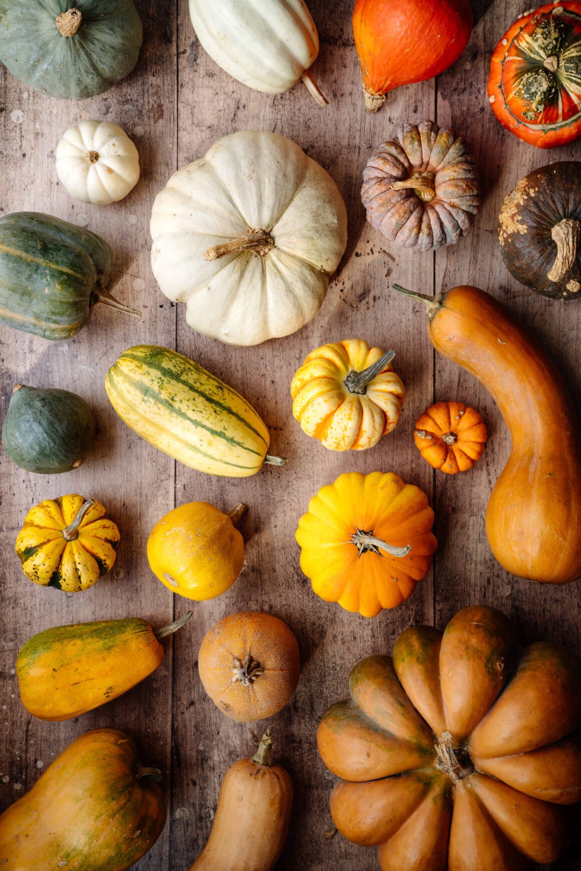 Die Vielfalt von Kürbis: Alte Sorten im Gemüse-Kochbuch "Liebes Gemüse" von Urkraut