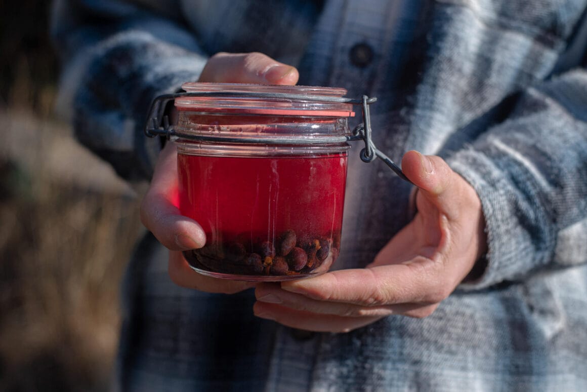 Schlehenlikör selbst gemacht aus dem Wildobst des Schwarzdorns