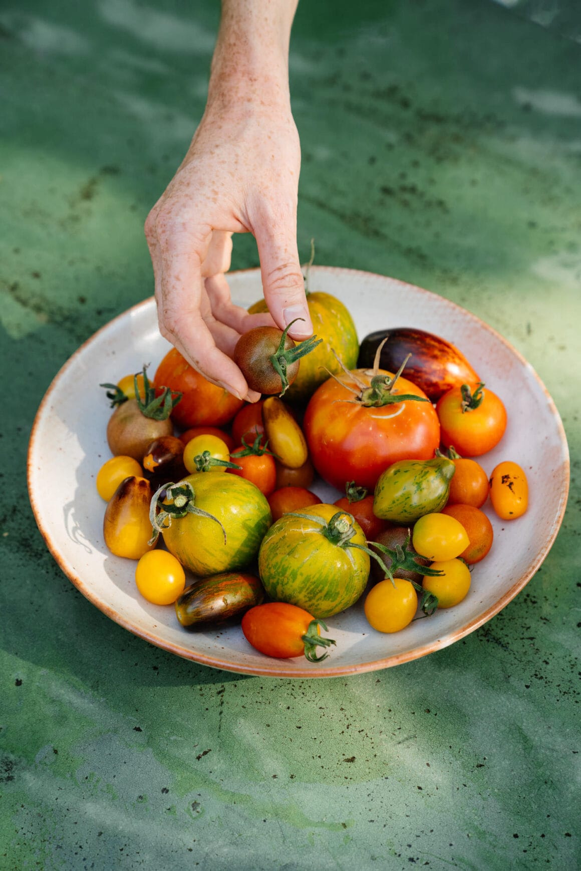Alte Sorten Tomaten, Vielfalt