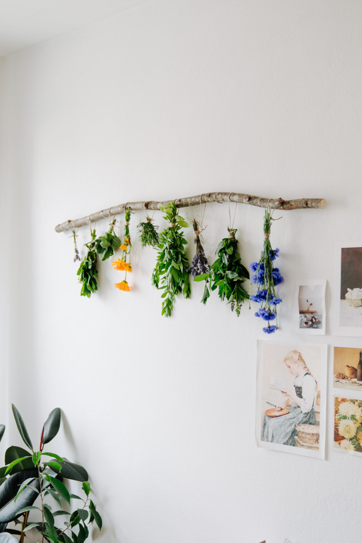 Essbare Blüten in der Küche