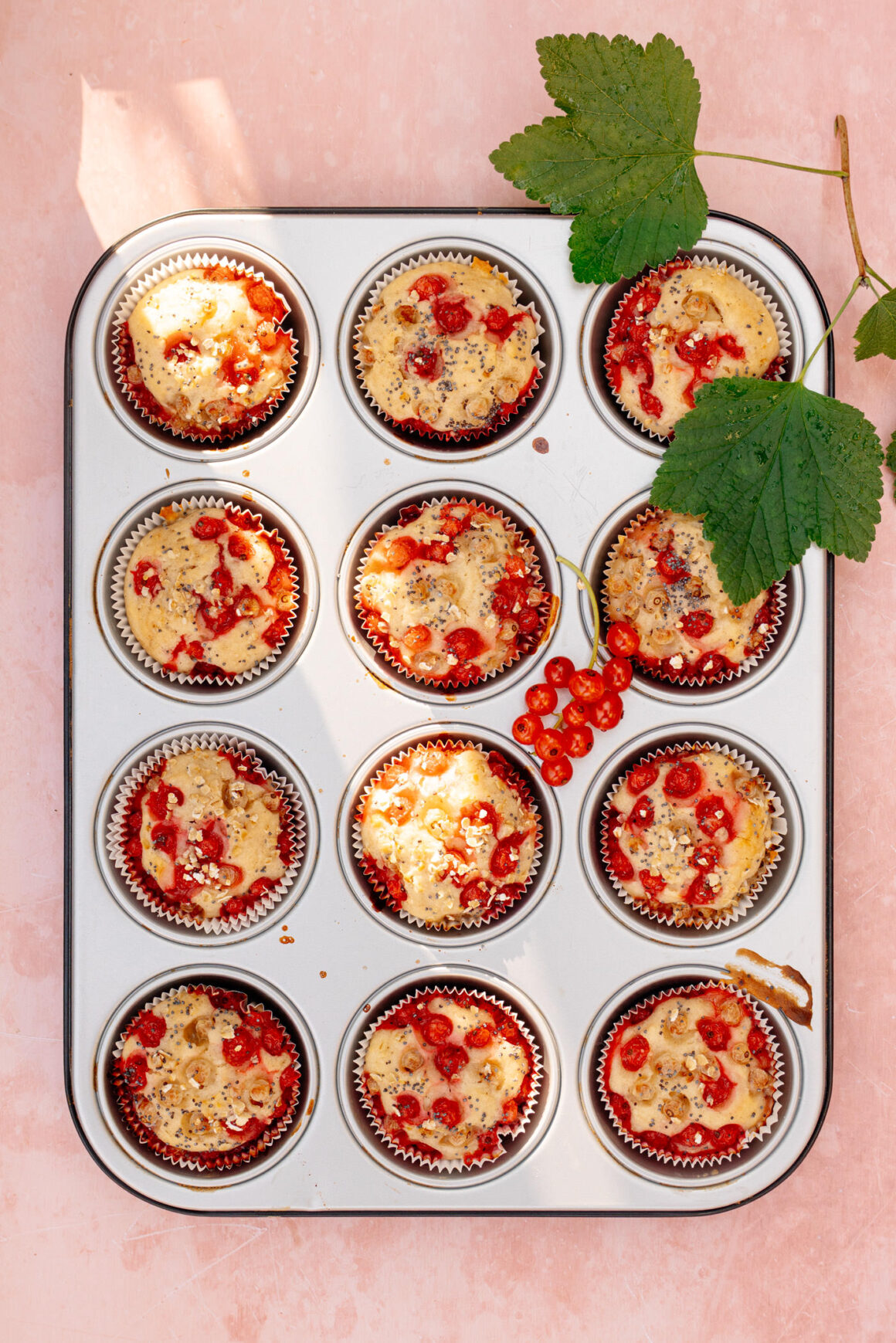 Unglaublich fluffige und saftige Muffins mit Johannisbeeren. Süss, säuerlich und beliebt bei gross und klein. Die Johannisbeer-Muffins sind schnell zubereitet und gelingsicher. 