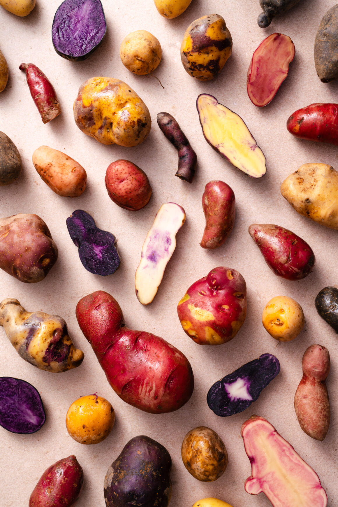 Alte Kartoffelsorten nach ProSpecieRara, bunte Kartoffeln